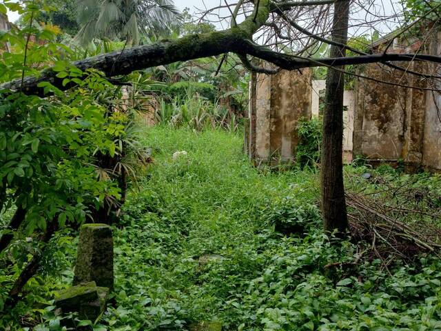 #216 - Terreno para Venda em Paranaguá - PR - 2